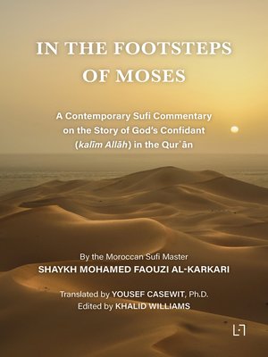 cover image of In the Footsteps of Moses